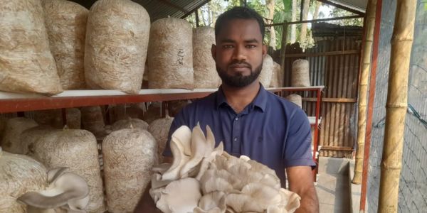 রংপুরে চাকরি ছেড়ে মাশরুম চাষে সফল আবুল কালাম